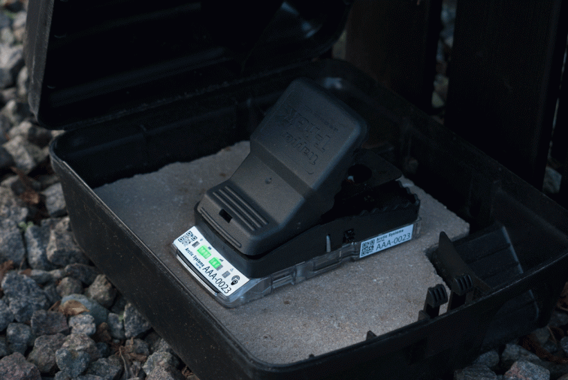 RATMO outside in a vox